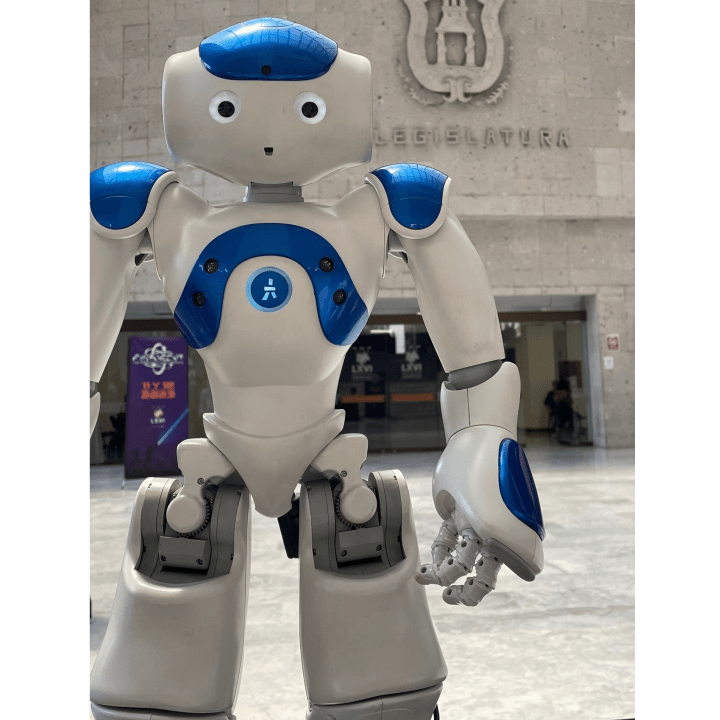 NAO Humanoid Robot